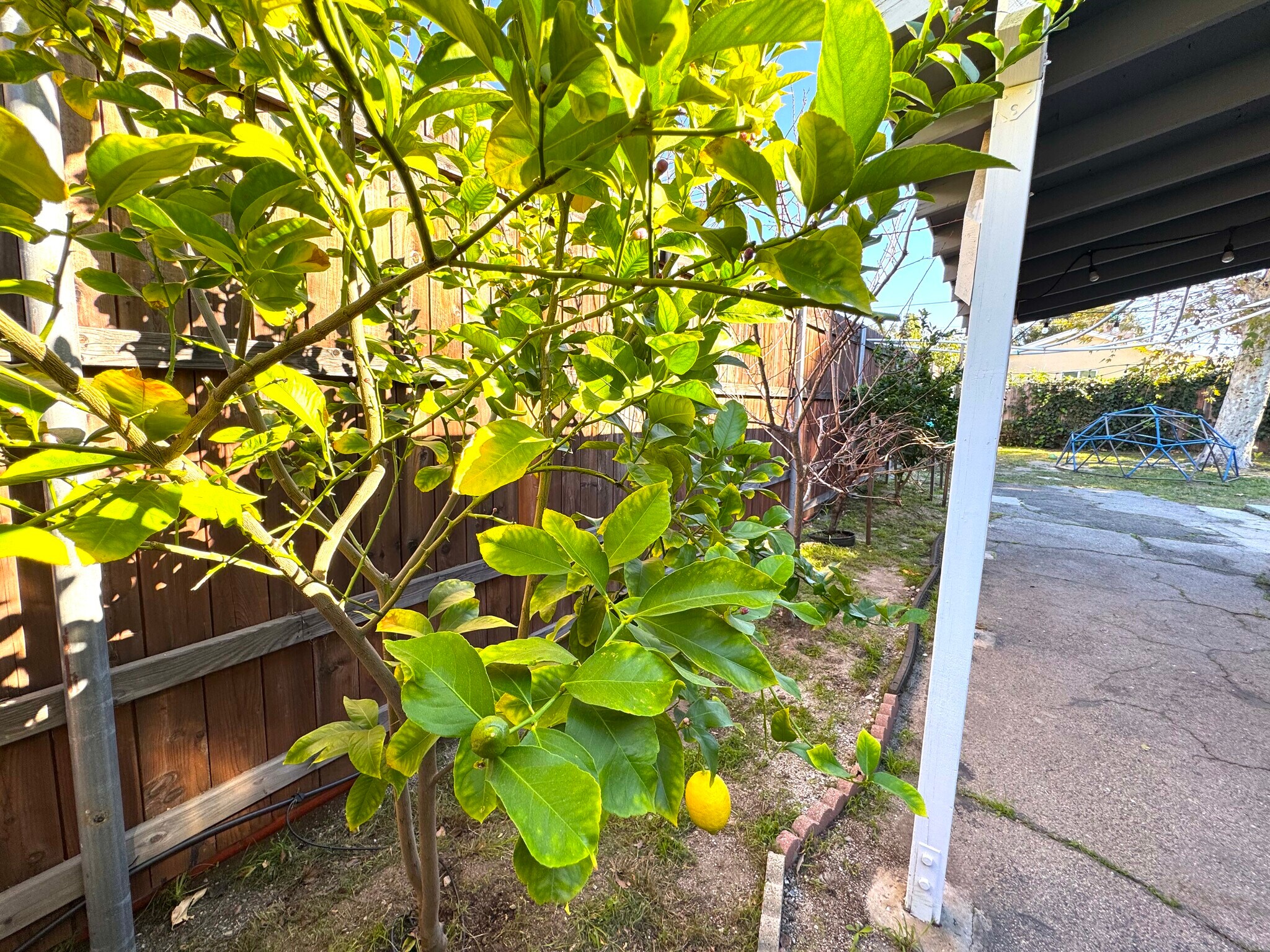 Building Photo - 10202 Jardine Ave