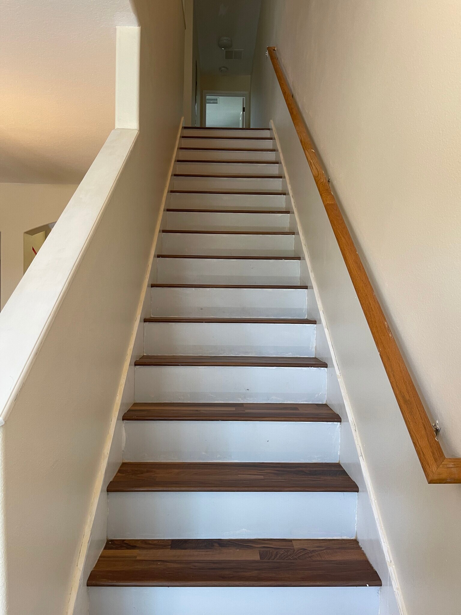 Building Photo - 4213 Winding Vine Dr