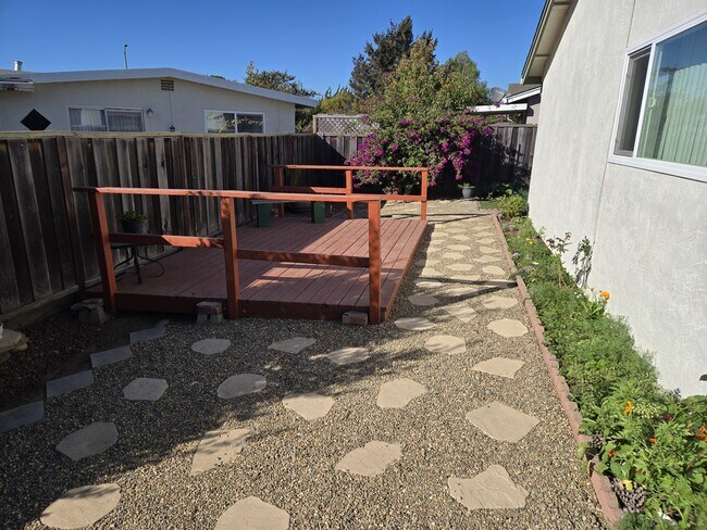 Back Yard - 613 Peartree Dr