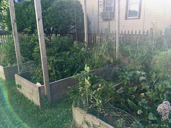 Raised bed garden (9 beds) - 910 E Meinecke Ave