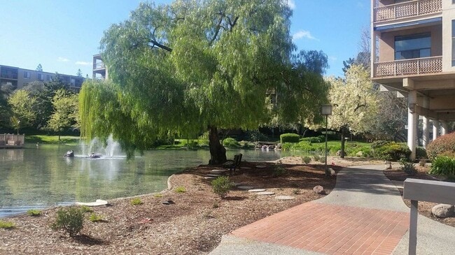 Building Photo - Light, Bright, Immaculate and lightly furnished 1 bd 1 ba condo in Walnut Creek- Keys Condo's