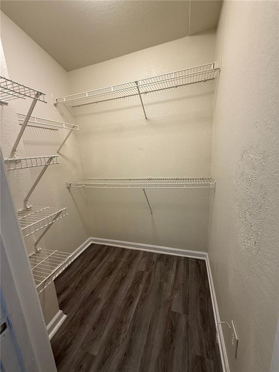 Building Photo - 2861 Windsor Forrest Ct
