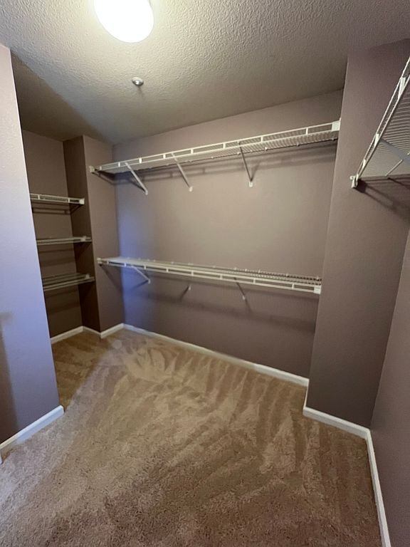 Building Photo - 831 Spring Mountain Ln