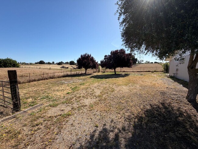 Building Photo - 3 Bed 2 Bath Country Home