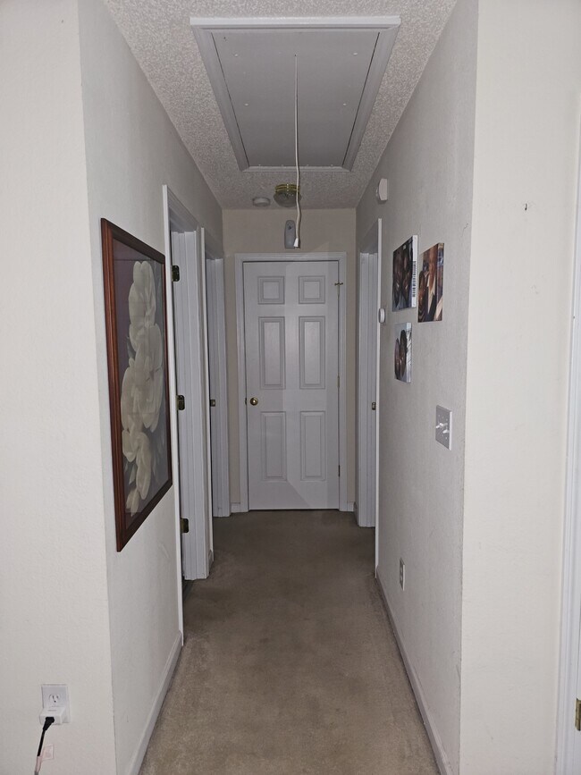 Building Photo - 109 Hardwood Dr