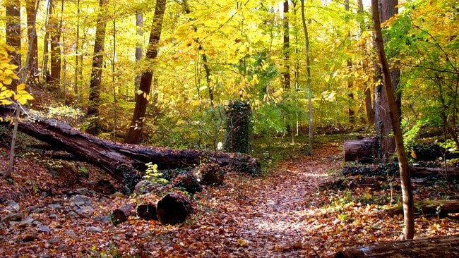 Building Photo - 2228 40th St NW