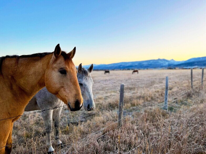 Building Photo - 1054 Canoe Loop
