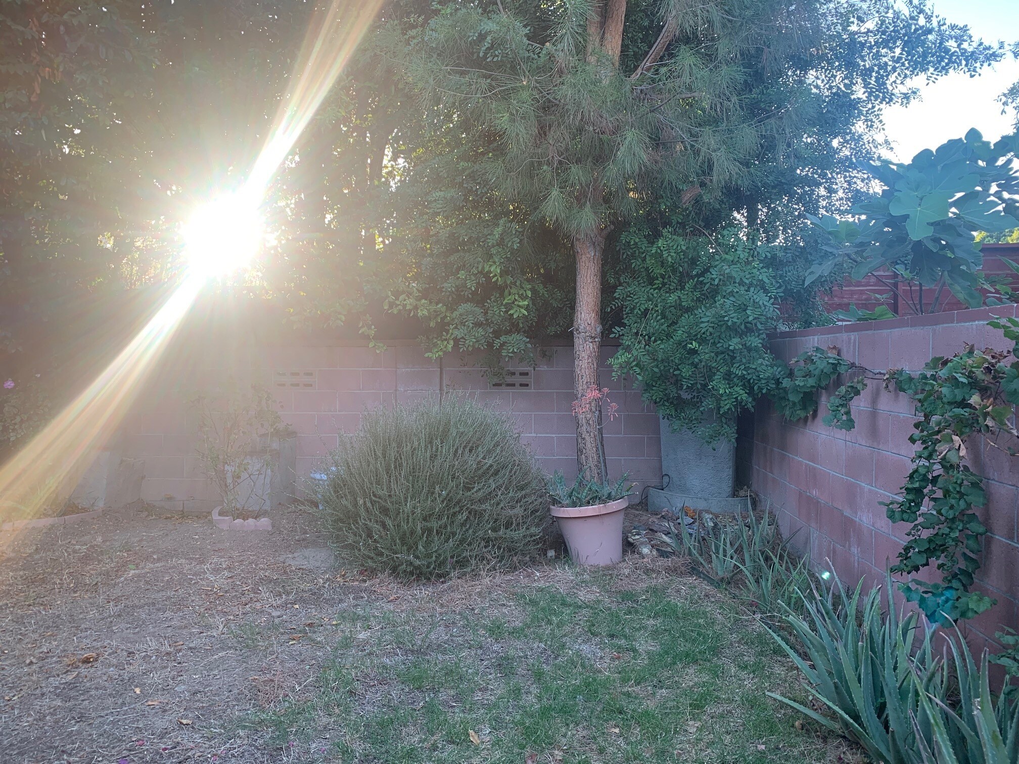A Beautiful Backyard... - 8509 Fullbright Ave