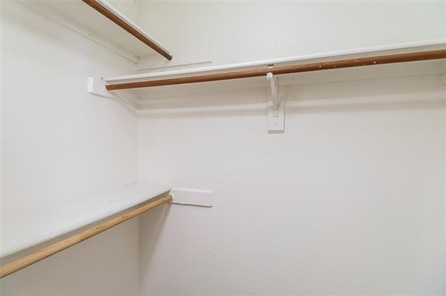 Building Photo - 911 Turner Ct