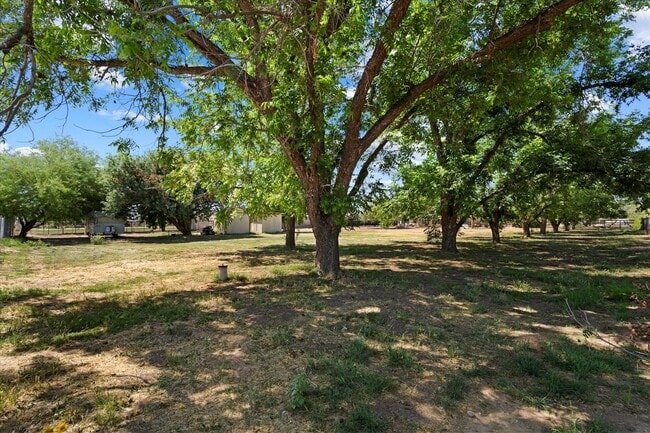 Building Photo - 23265 Vía Del Arroyo