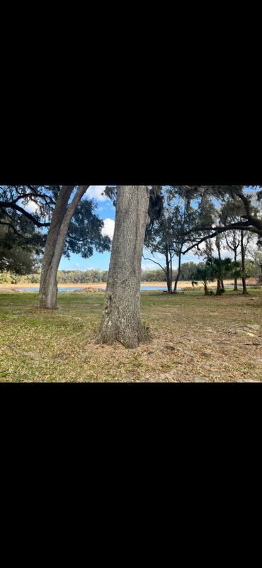 Building Photo - 18585 NW 43rd Court Rd