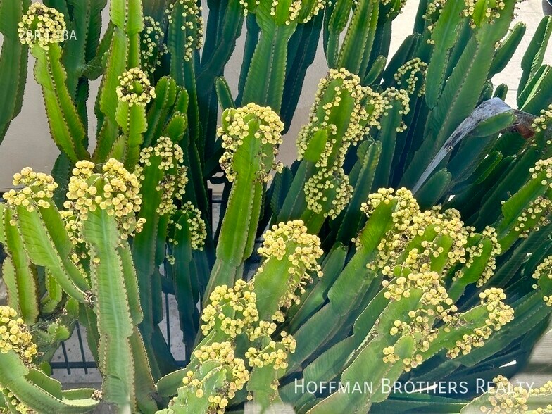 Building Photo - 318 S Mariposa Ave