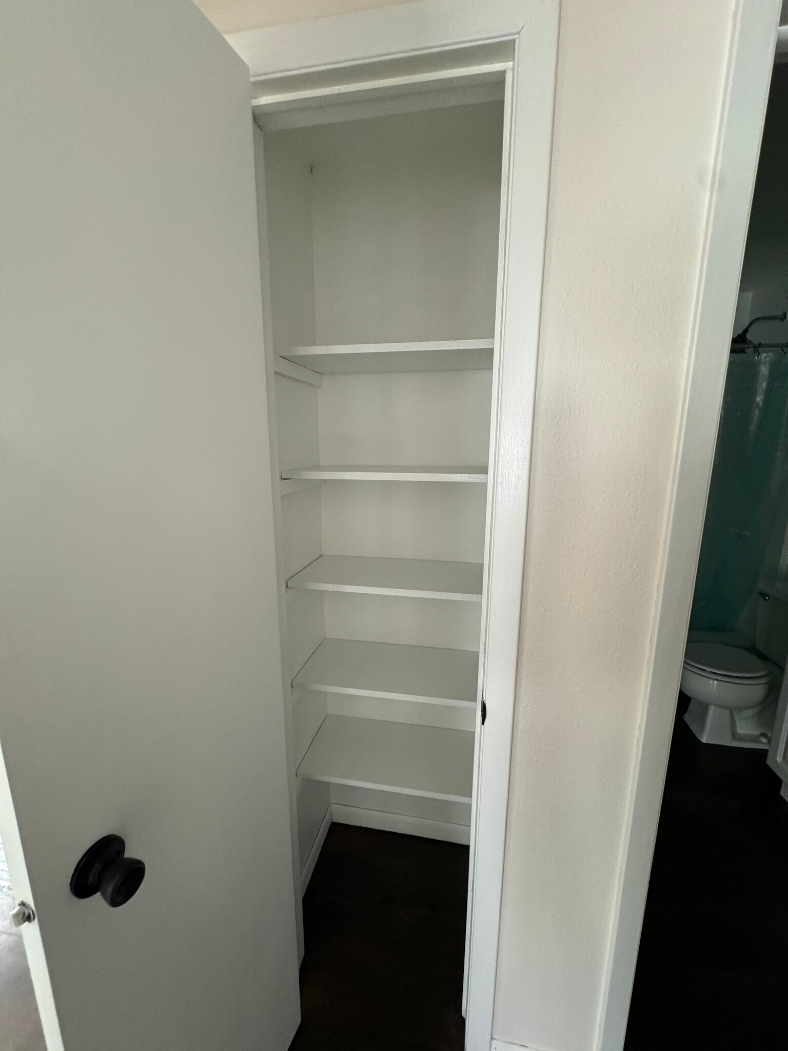 Hallway closet - 205 Wellons Dr