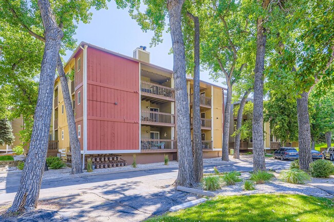 Building Photo - Nature Meets the City: Spacious & Elegant 1-BDR