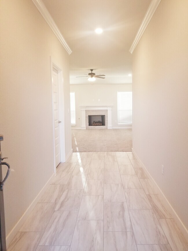 Building Photo - 500 Coconut Ln
