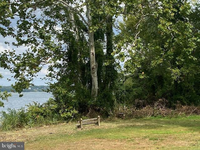 Building Photo - 1420 Riverside Dr