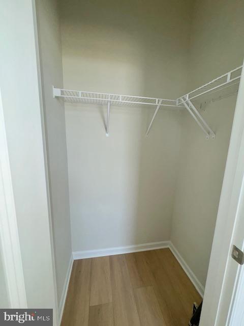 Building Photo - 142 Bamboo Shoot Ln