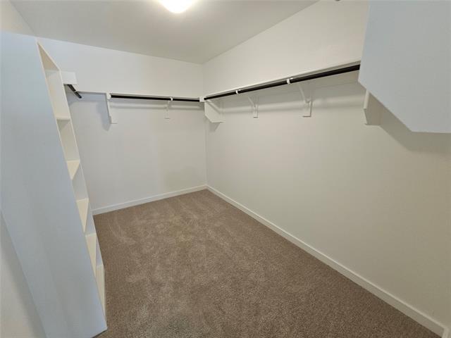 Building Photo - 2528 Moser Ln