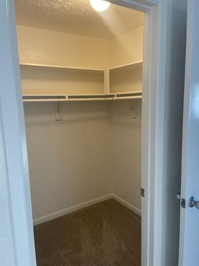 Building Photo - YOUR HAPPY PLACE IN DUNEDIN