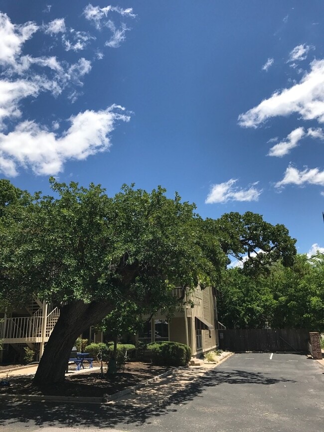 Building Photo - PRE-LEASE - HUGE HYDE PARK 1 BEDROOM - REAL WOOD FLOORS - $1375 - AVAIL AUG 10 2026