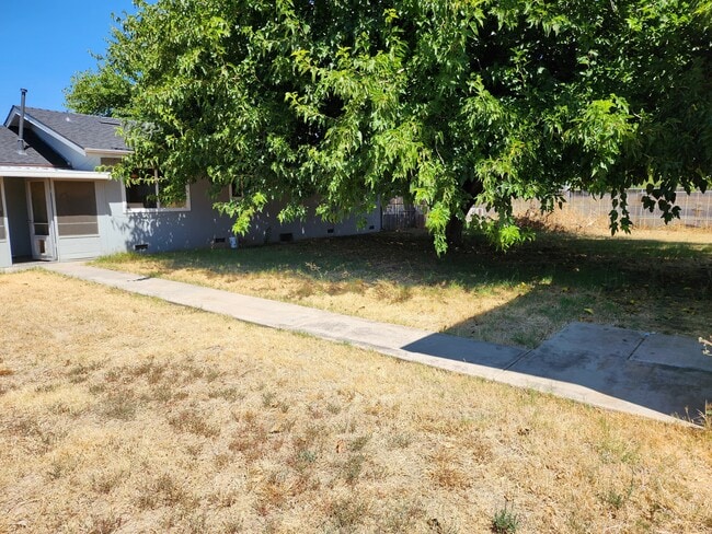 backyard - 1994 Baugh St