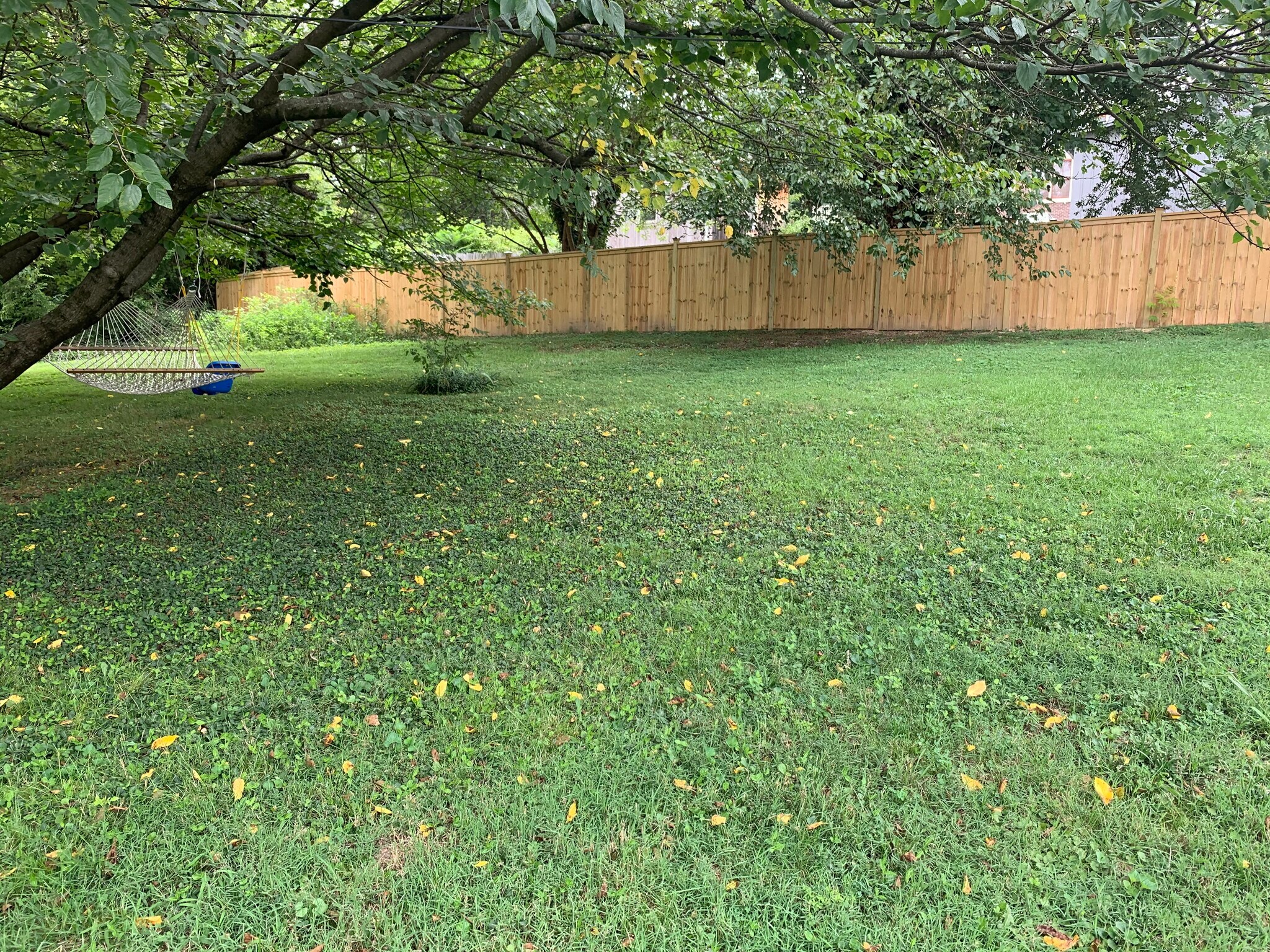 Building Photo - 1426 Harvey St