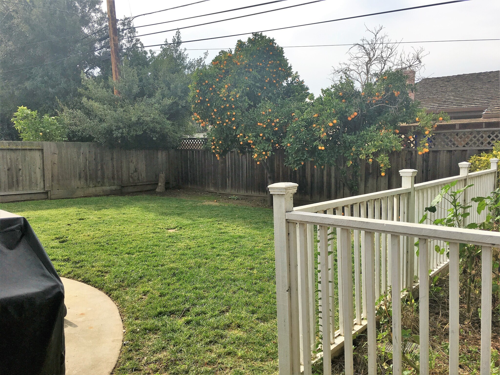 Building Photo - 839 S Knickerbocker Dr