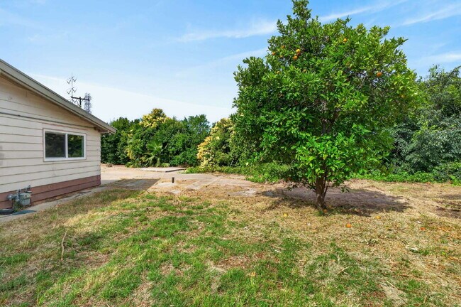Building Photo - Charming 3-Bed Gem in Sacramento
