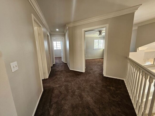 Building Photo - New Listing!