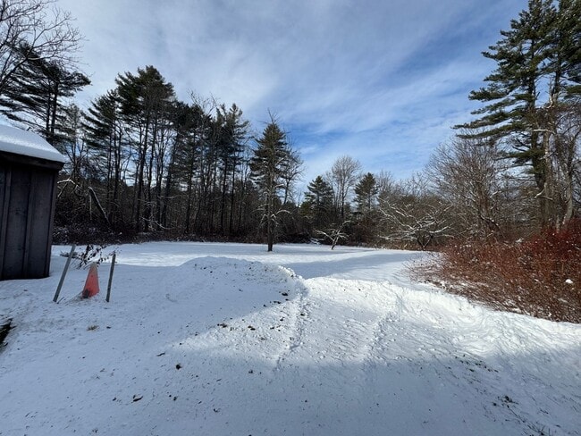 Building Photo - Charming Two-Bedroom Home in a Peaceful Wooded Setting