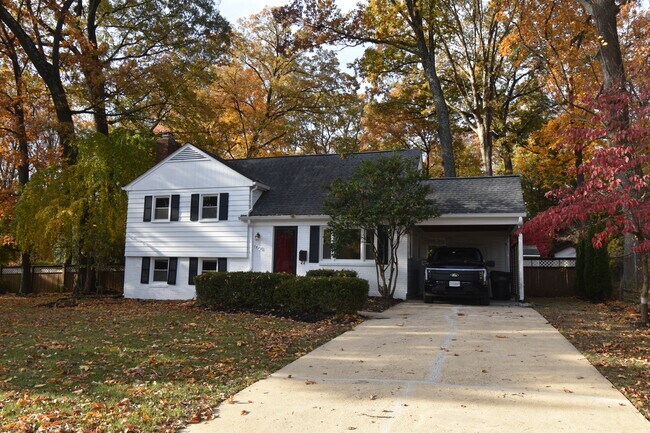 Primary Photo - Shelby Lane