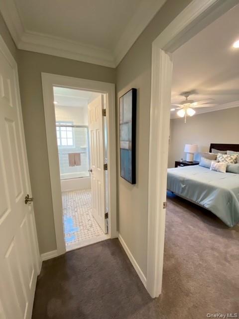 Building Photo - 28 Williams Blvd