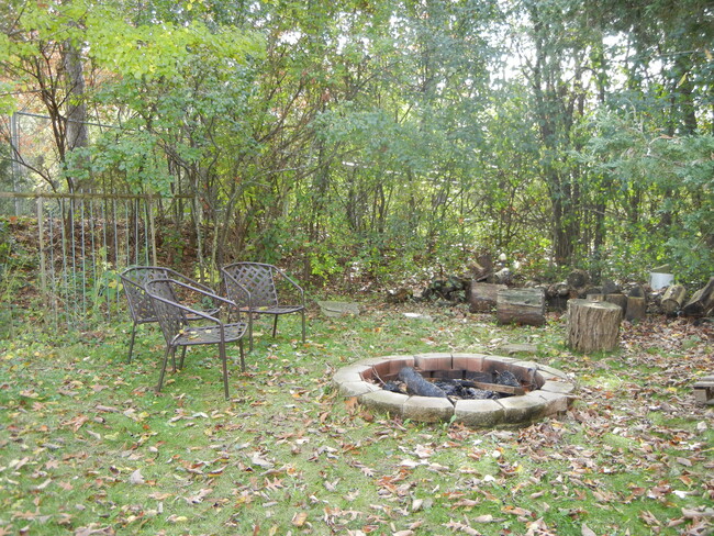 Fire Pit - Backyard - 120 Hilly Oak Dr