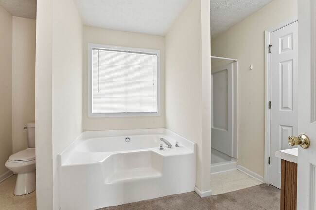 Building Photo - 3BR Split Level with 2 Car Garage in Jonesboro