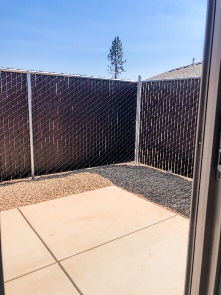 Building Photo - 5848 Black Olive Dr