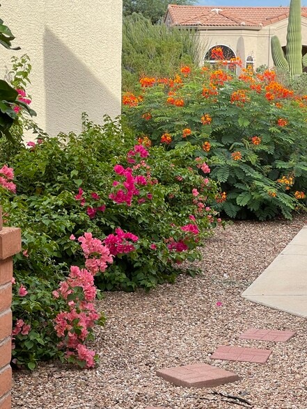 Side of house - 1301 N Mourning Dove Rd