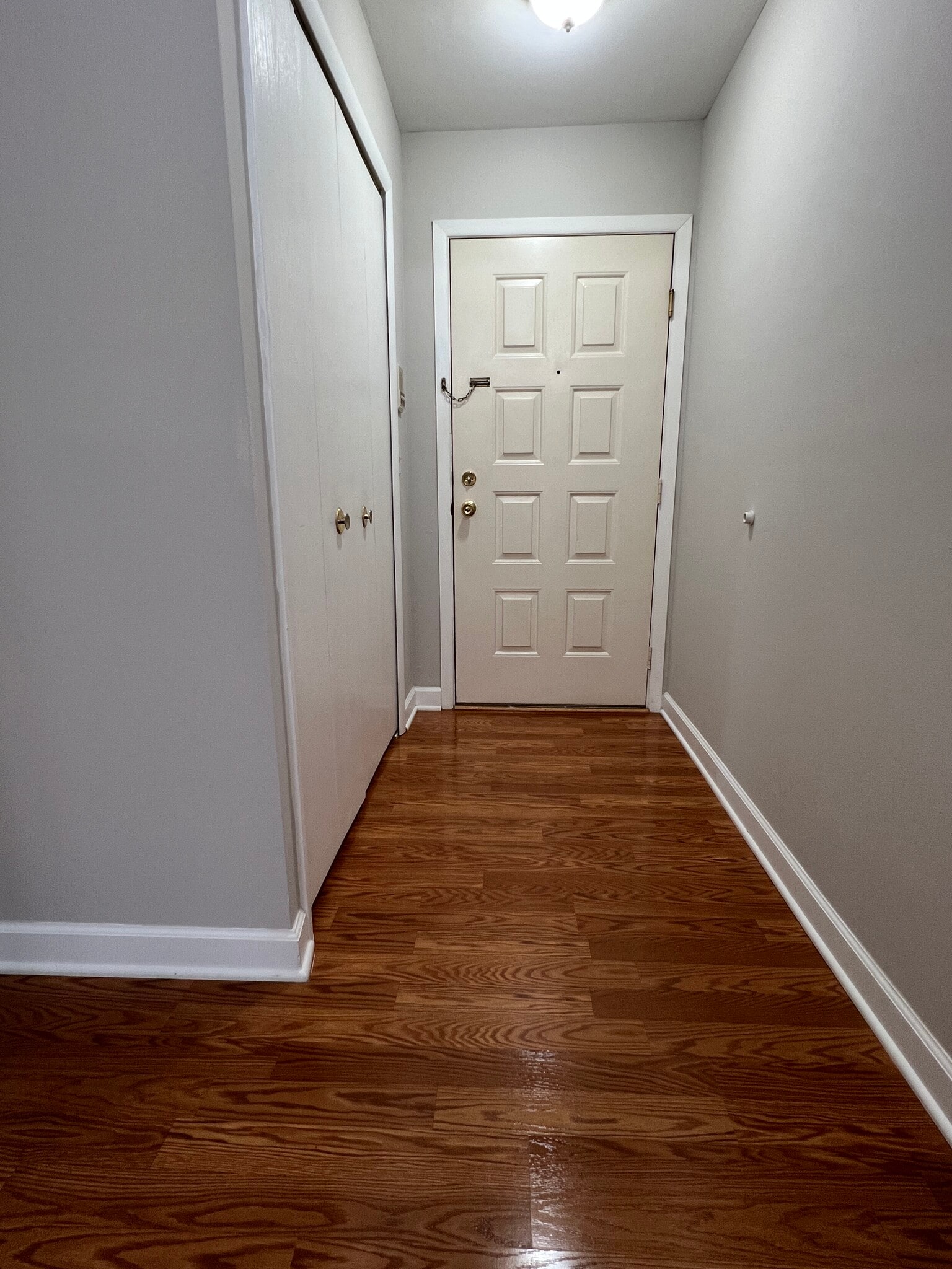 Hallway - 225 Briarcrest