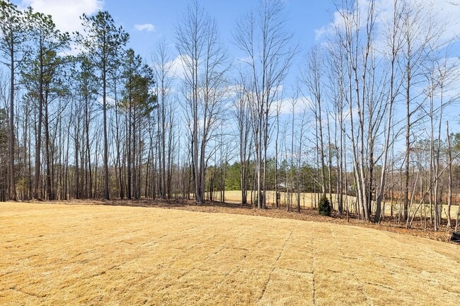 Building Photo - ***Brand New 4/3 in Olde Liberty Golf Community***