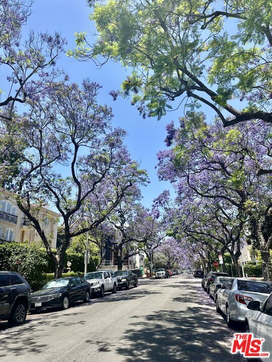 Building Photo - 324 N Palm Dr