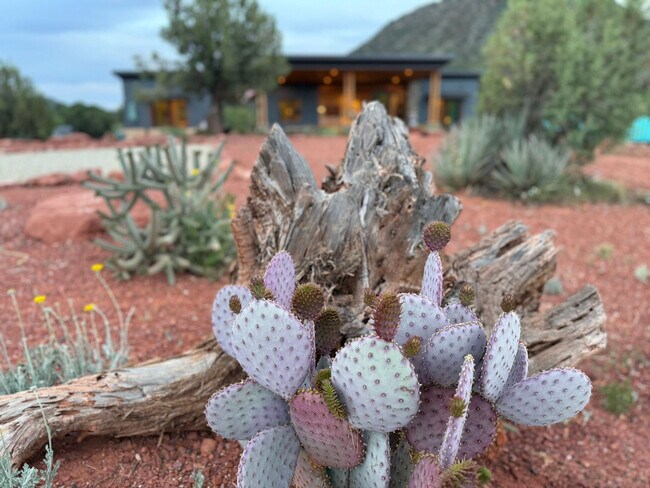 Building Photo - 105 Rojo Dr