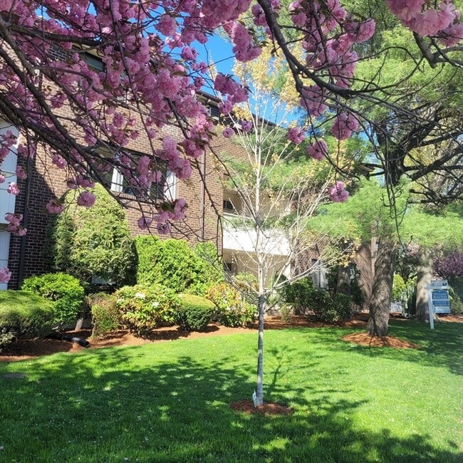 Building Photo - 935 Washington St