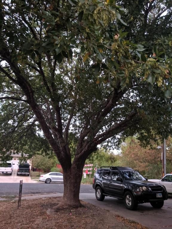 Building Photo - 5817 Spring Meadow Rd