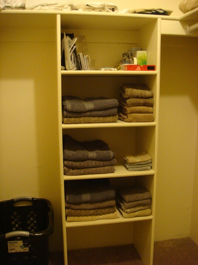 Master walk-in closet identical to second bedroom walk-in - 3357 N Country Club Rd