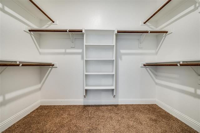 Building Photo - 3519 Cooke Ln