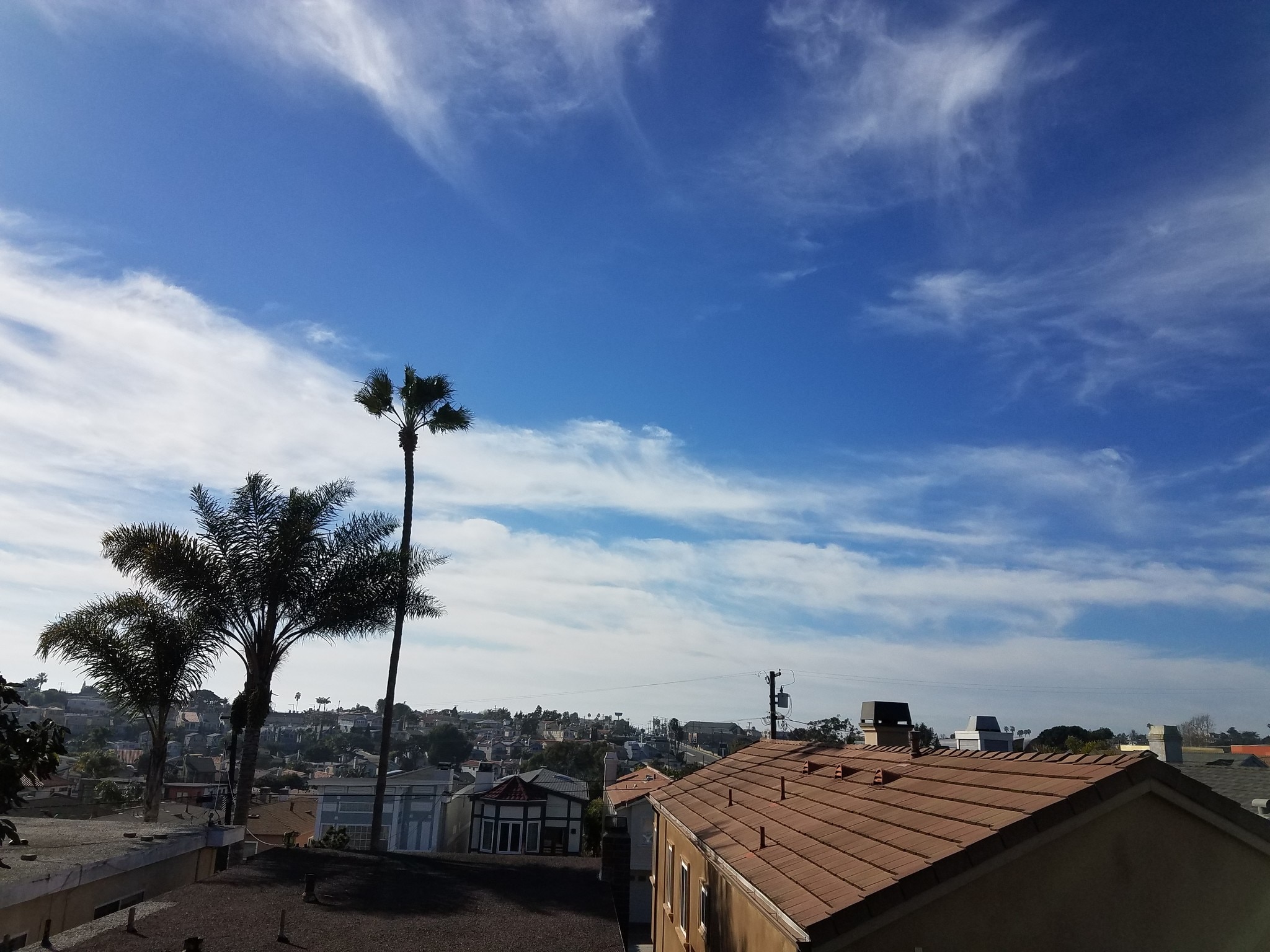 Building Photo - 1745 Herrin St