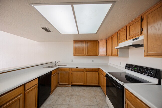 Building Photo - 2019 W Lemon Tree Pl