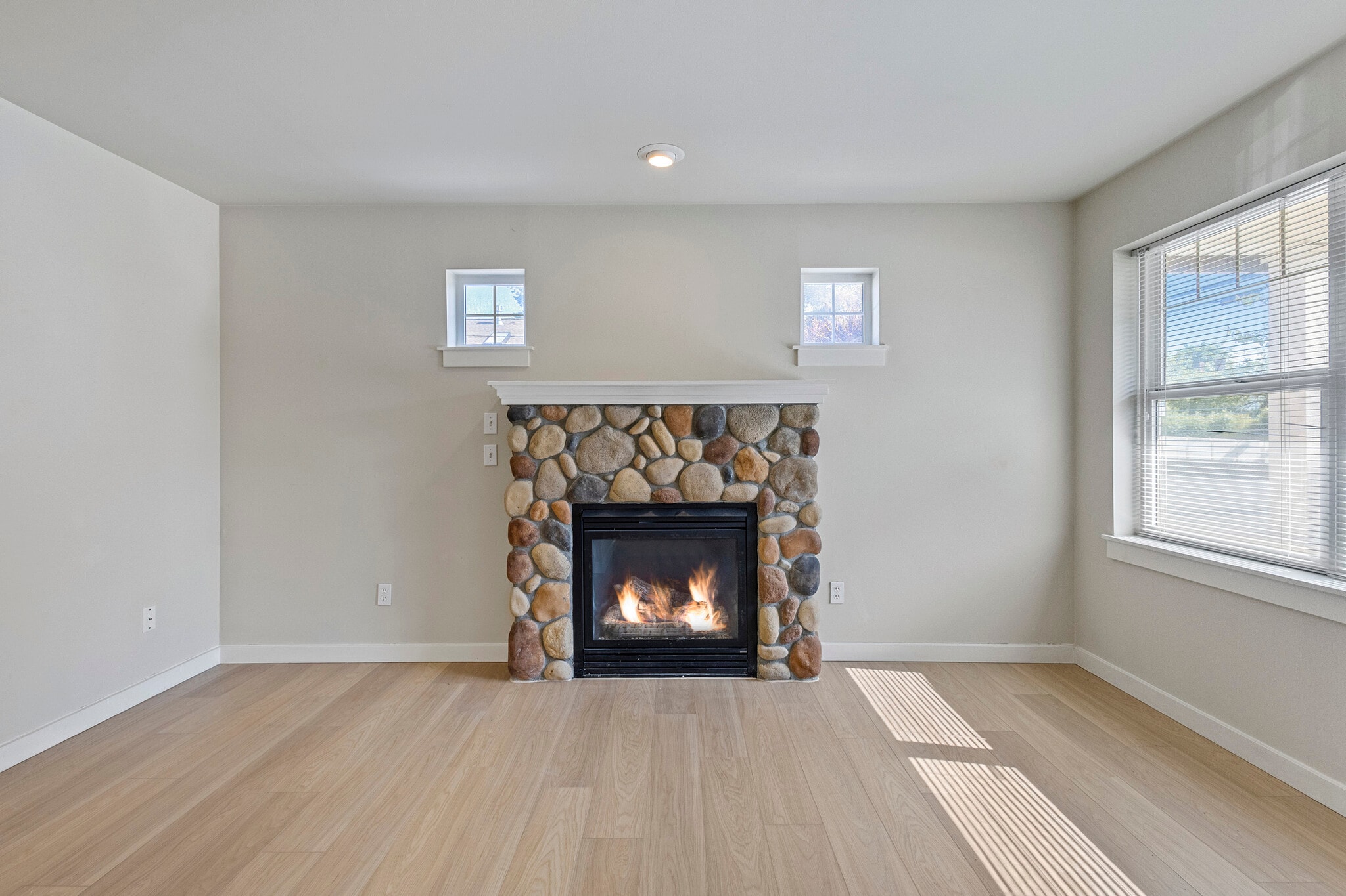 Propane Fireplace - 306 S Main St