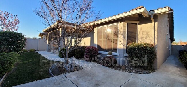 Building Photo - 2339 Shadow Berry Dr