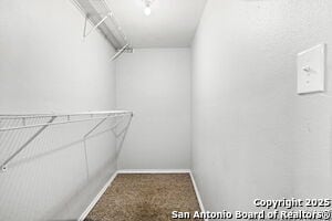 Building Photo - 1334 W Ridgewood Ct