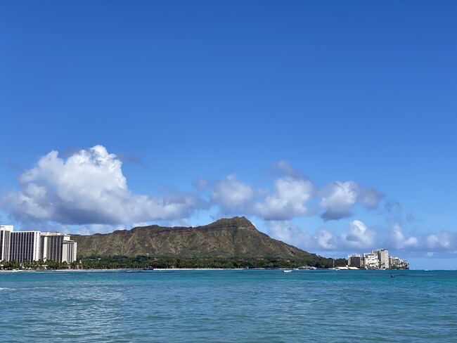 Ocean across the street - 1778 Ala Moana Blvd